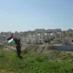 The Popular Committee of Bil’in : a peaceful exemplary struggle against “the wall” in Palestine