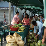 Construir alternativas de vida en el Petén de Guatemala