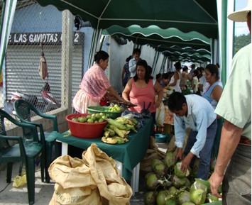 Construir alternativas de vida en el Petén de Guatemala