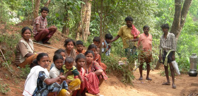Derechos para los "reyes de la selva" en el Nilgiri (India)