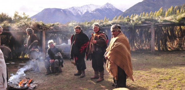 Développement des capacités pour la gouvernance Mapuche dans le parc Nahuel Huapi, Argentine