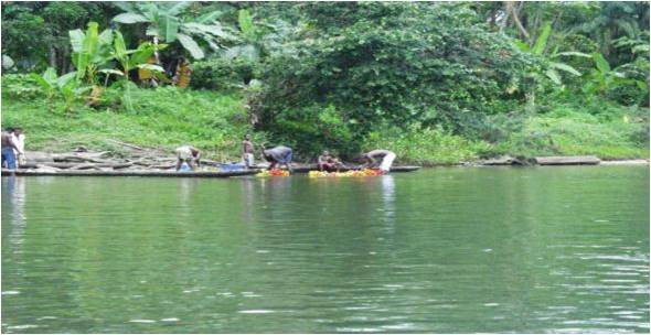 Other possible economies at the roots of other possible worlds, Colombia