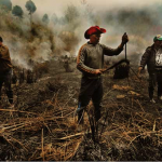 La communauté Qalang Smangus : une gouvernance collective pour gérer durablement les biens communs naturels dans les montagnes de Taïwan