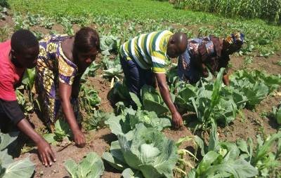 Mejorando el conocimiento y las prácticas alimentarias tradicionales de los indígenas Bambuti en la Región de los Grandes Lagos, RDC