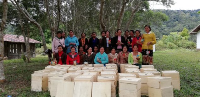 Solidaridad entre pueblos y seguridad económica a través de la apicultura y del control de calidad participativo en Xiengkuang (República Democrática Popular Lao)