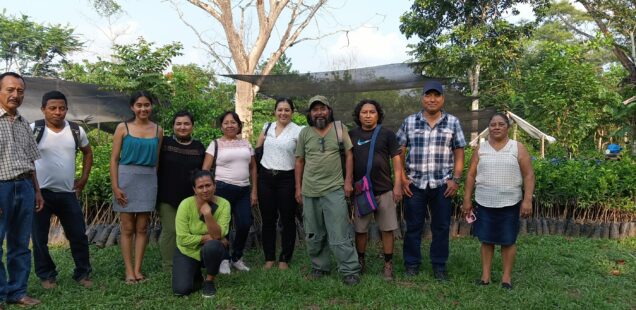 Renforcer quatre communautés de la région du Petén, dans le nord du Guatemala, et faciliter leur solidarité mutuelle pour la gouvernance de leurs territoires de vie