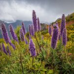 La Fundación Paul K. Feyerabend se vio obligada a transformarse en la Asociación Paul K. Feyerabend (APKF)